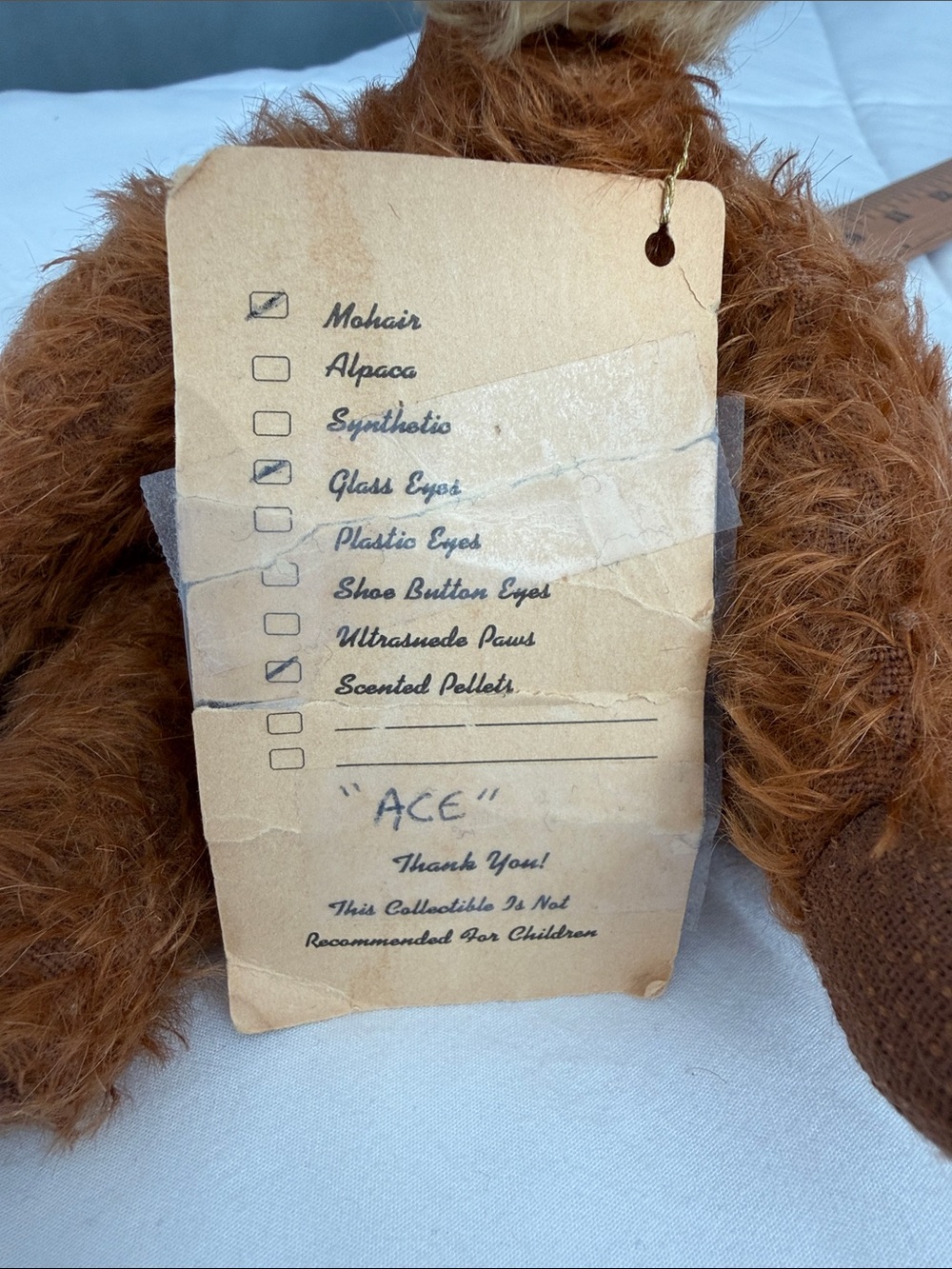 Teddy bear ace - Picture 11 of 11